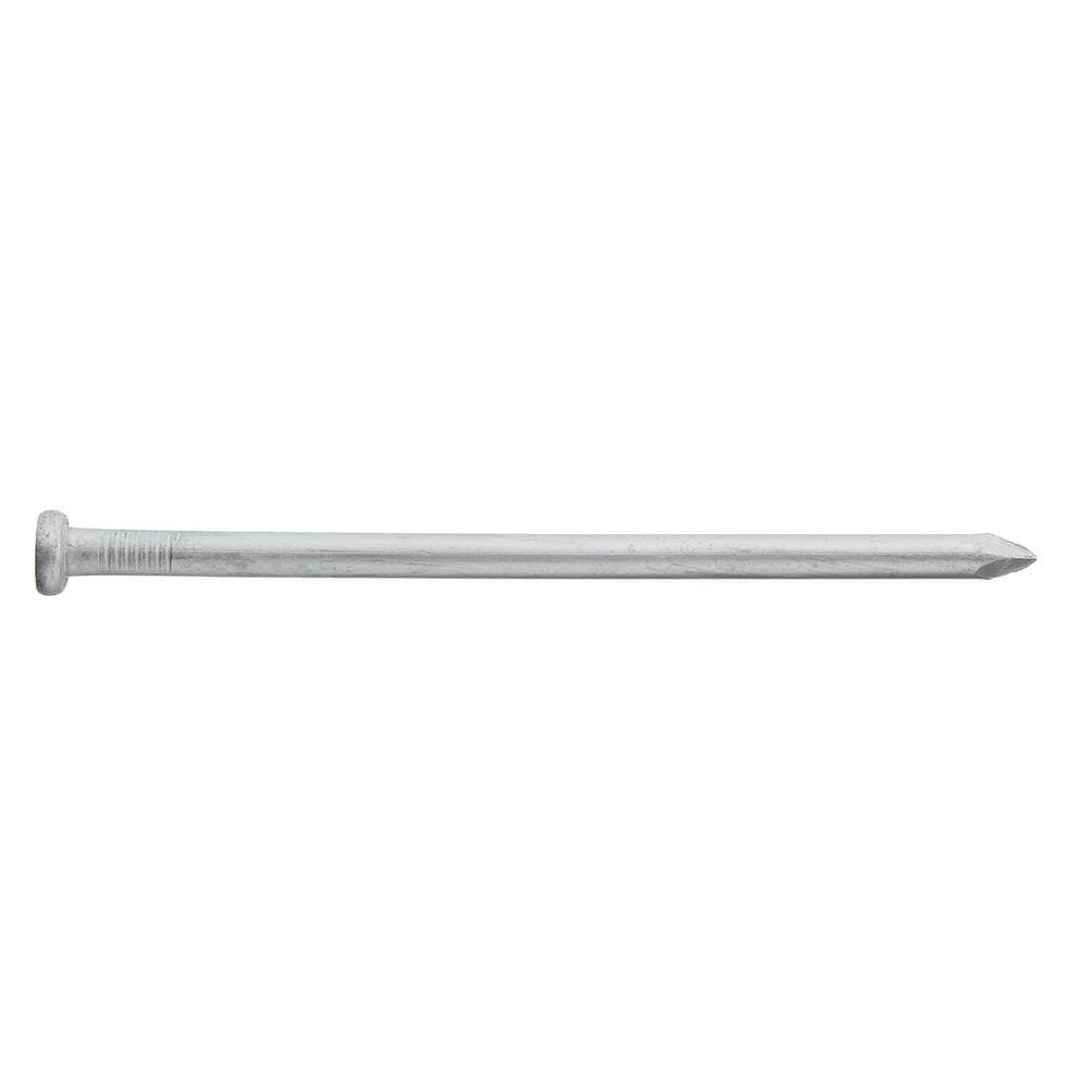 Everbilt 3/8 in. x 8 in. Spikes Hot Dipped Galvanized Each (3)