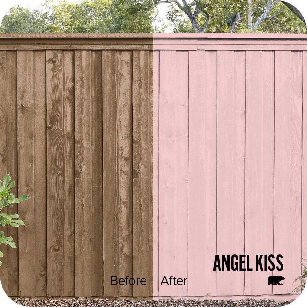 BEHR #P160-1 Color House and Fence Exterior Wood Stain (2)