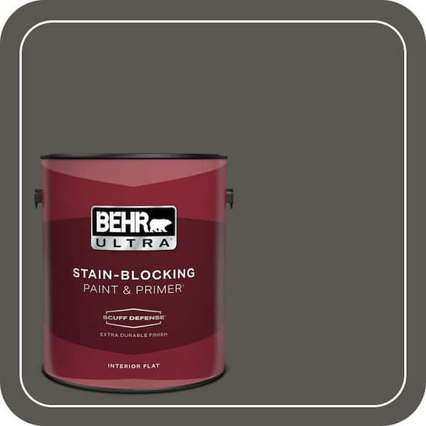 BEHR PREMIUM PLUS #BXC-17 Dominant Gray Flat Interior/Exterior Paint & Primer Color Sample (4)