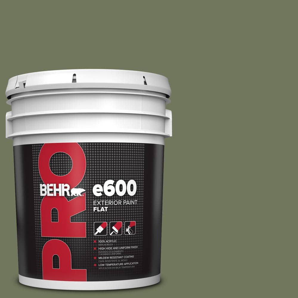 BEHR PRO 5 gal. #420F-6 Egyptian Nile Flat Exterior Paint
