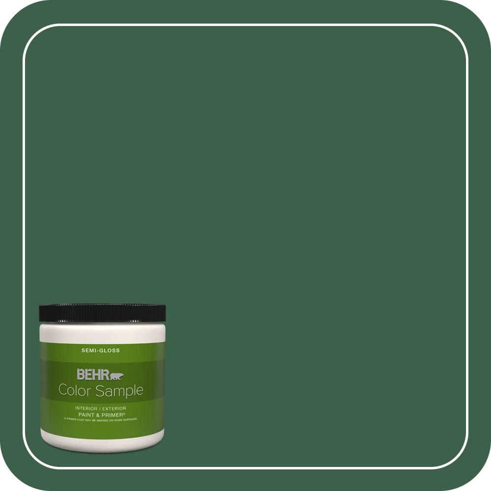 BEHR PREMIUM PLUS #470D-7 Windy Pine Interior/Exterior Paint & Primer Color Sample (1)