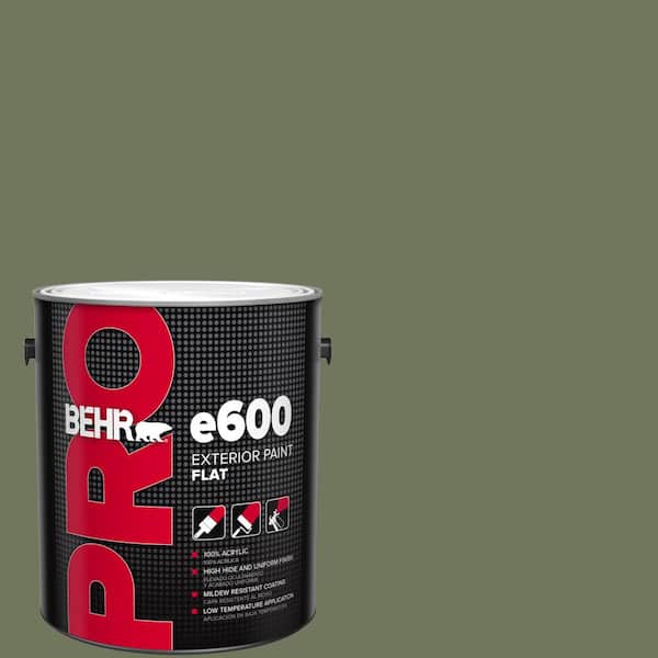 BEHR PRO 1 gal. #420F-6 Egyptian Nile Flat Exterior Paint (2)
