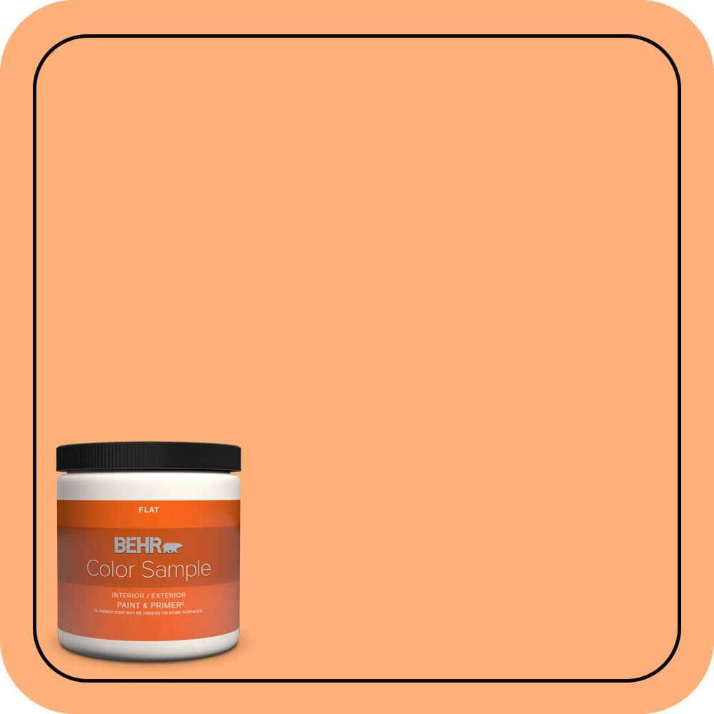 BEHR PREMIUM PLUS #260B-5 Cantaloupe Slice Enamel Low Odor & Primer