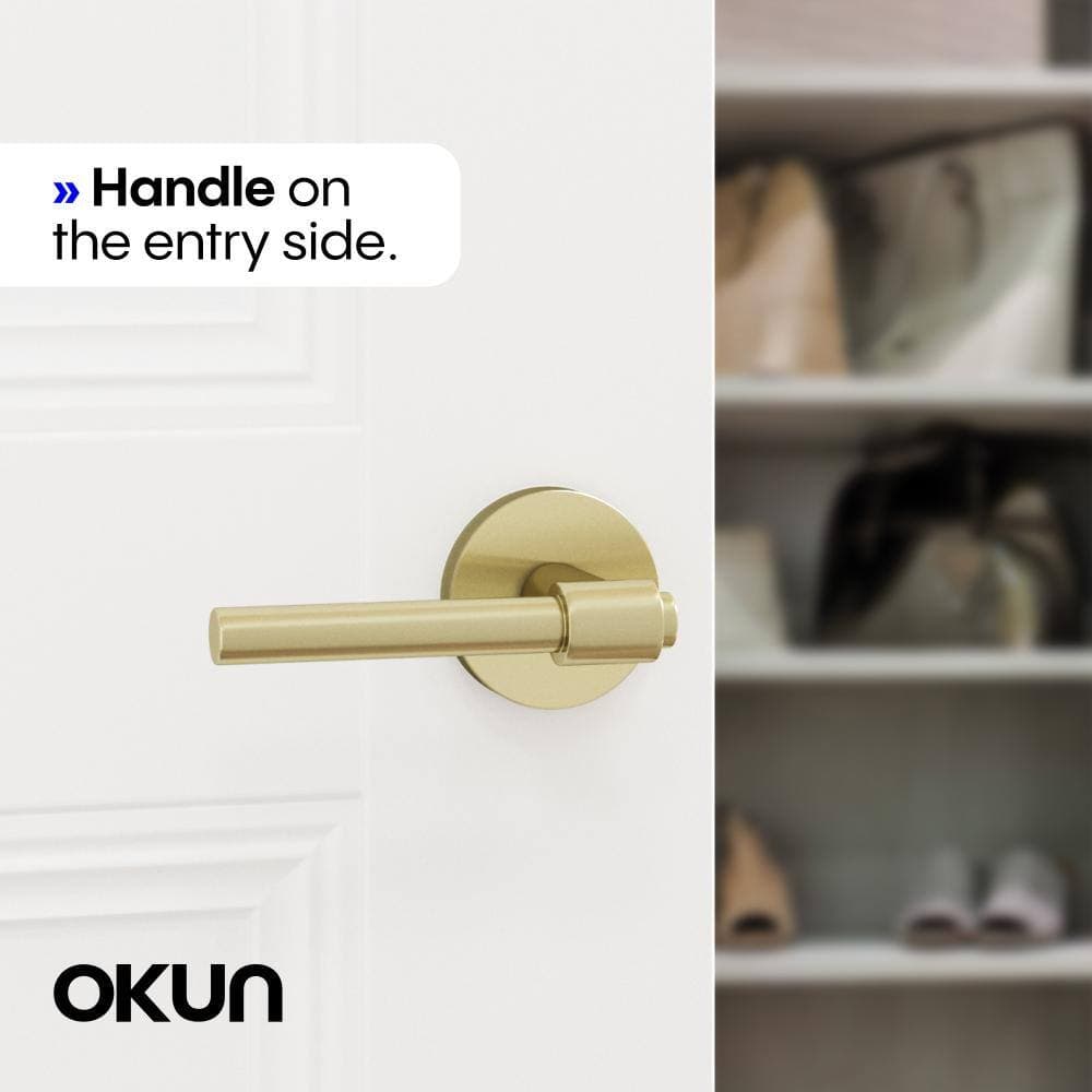 Okun Zen Metal Brushed Champagne Gold Dummy Door Handle with Round Rosette (2)