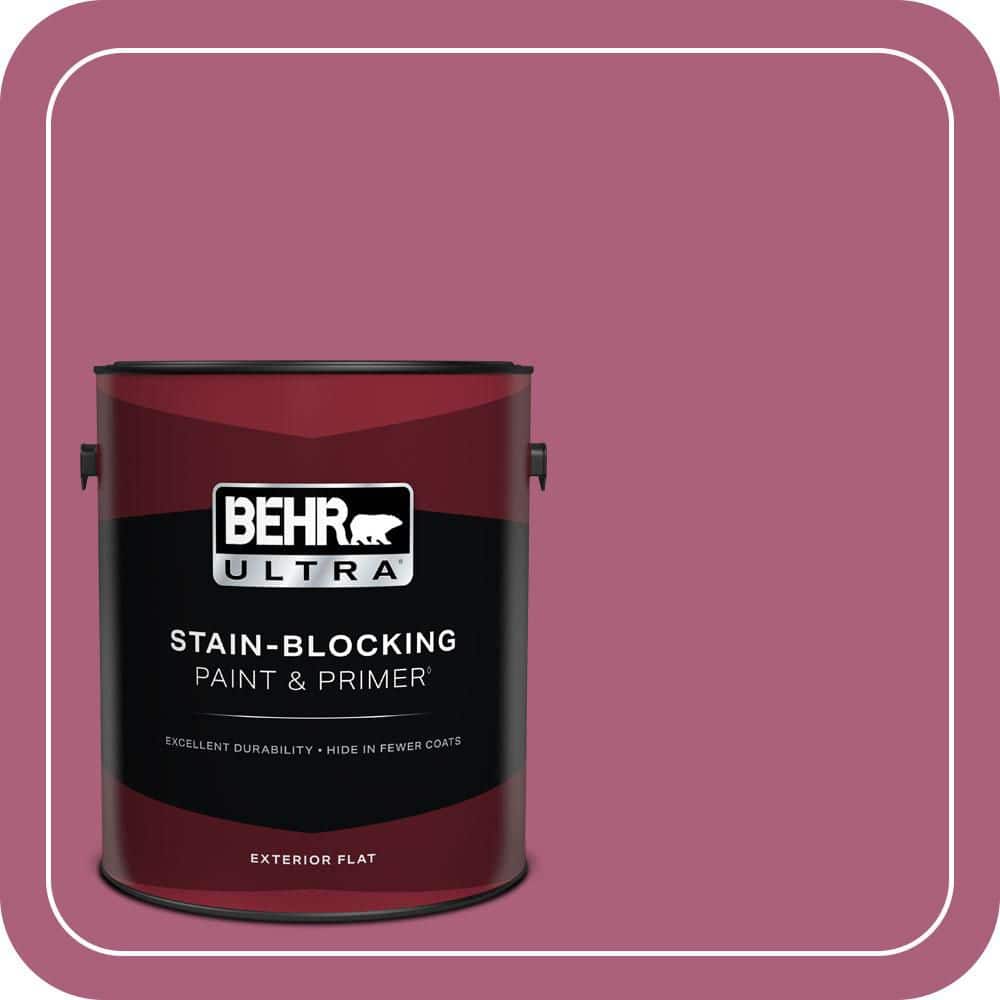 BEHR ULTRA 1 gal. #T13-1 Daah-Ling Flat Exterior Paint & Primer