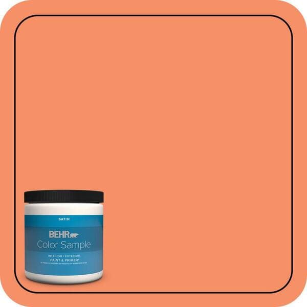 BEHR PREMIUM PLUS #210B-5 Tangerine Dream Enamel Low Odor & Primer (3)