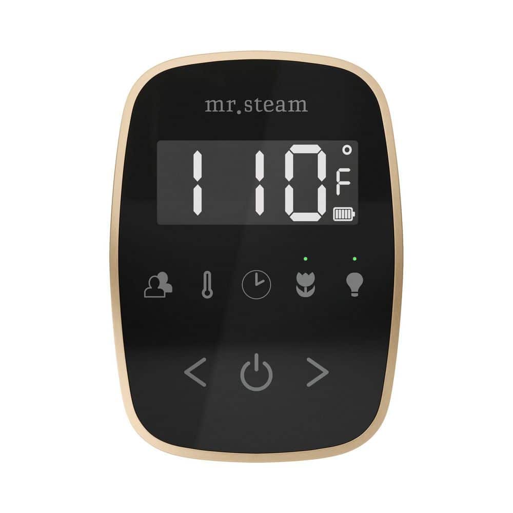 Mr. Steam ButlerFlex Max Steam Shower Control Package with TempoFlex Control and Linear Steamhead in Black Brushed Bronze (1)