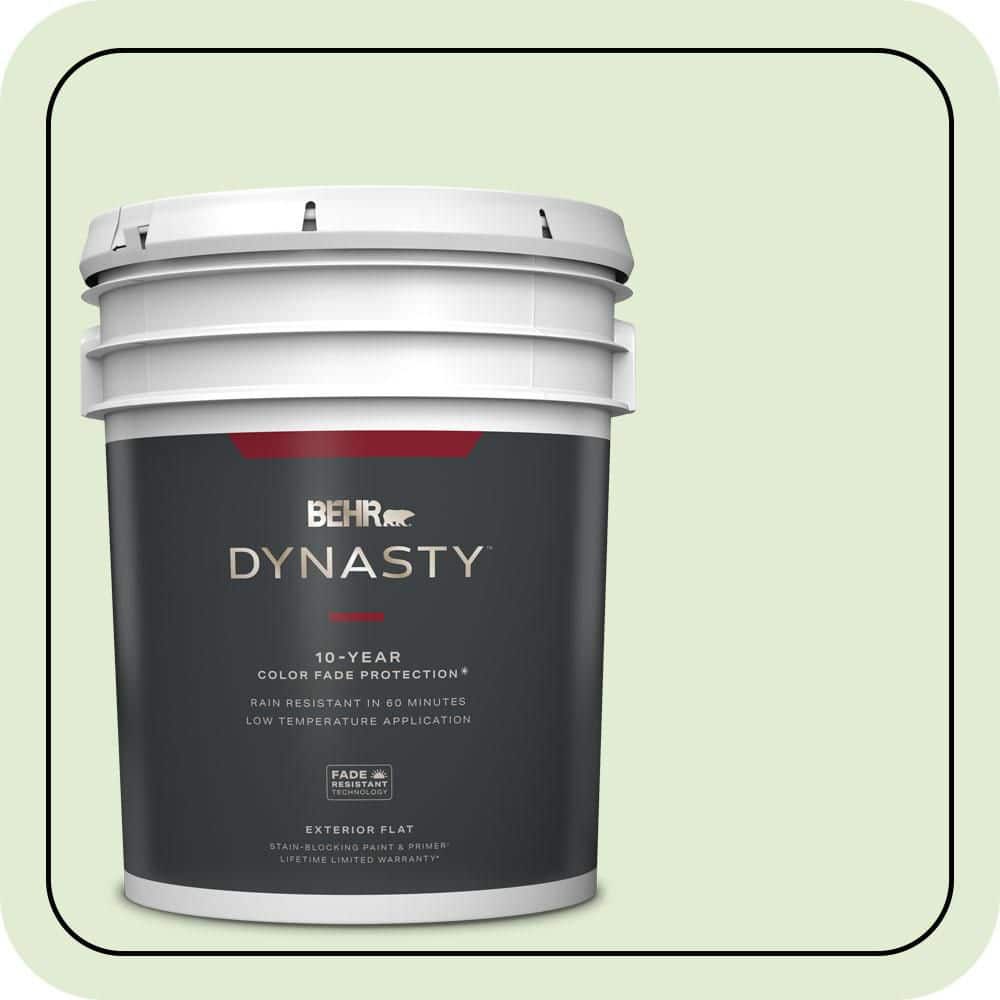 BEHR DYNASTY 5 gal. #P380-2 Misted Fern Flat Exterior Stain-Blocking Paint & Primer