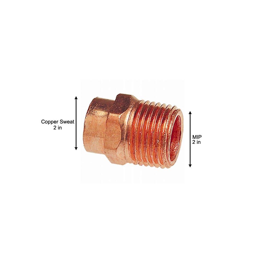 Everbilt 2 in. Copper Pressure Cup x MIP Male Adapter Fitting (3)
