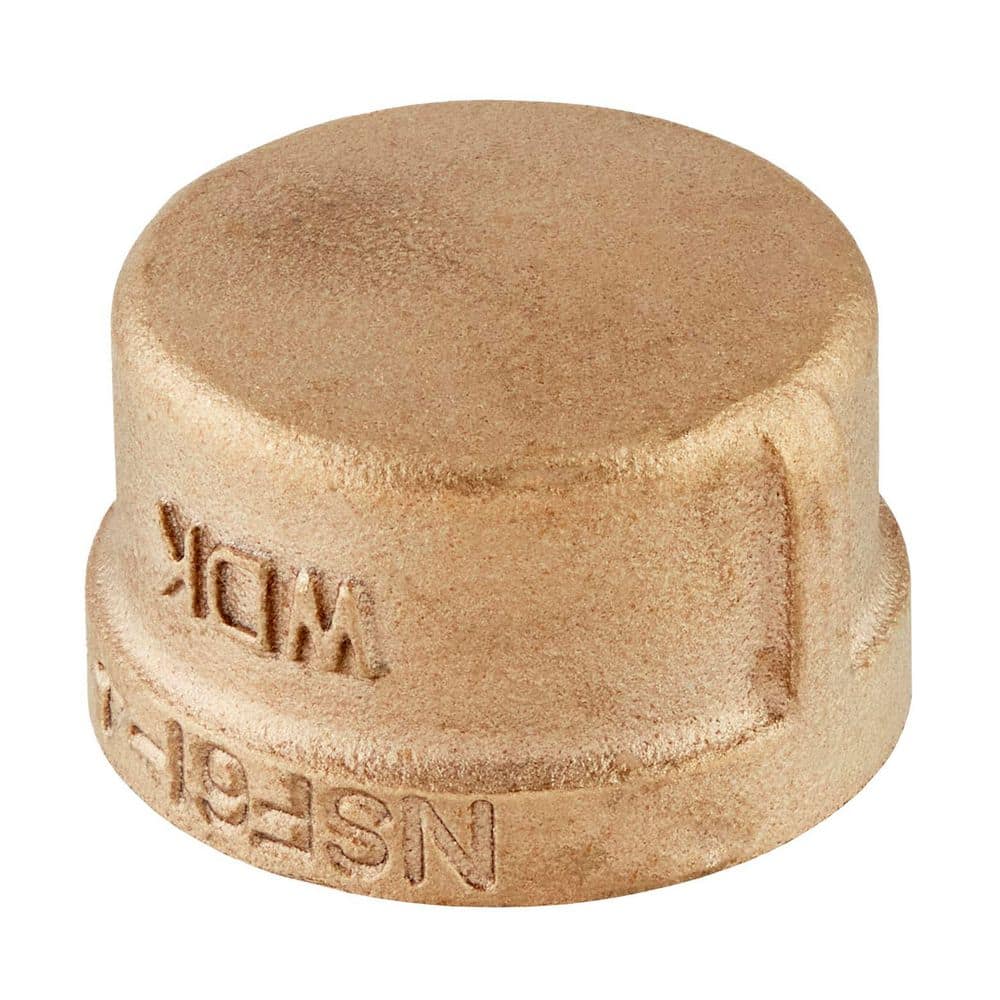 Everbilt 1 in. FIP Red Brass Cap Fitting (2)