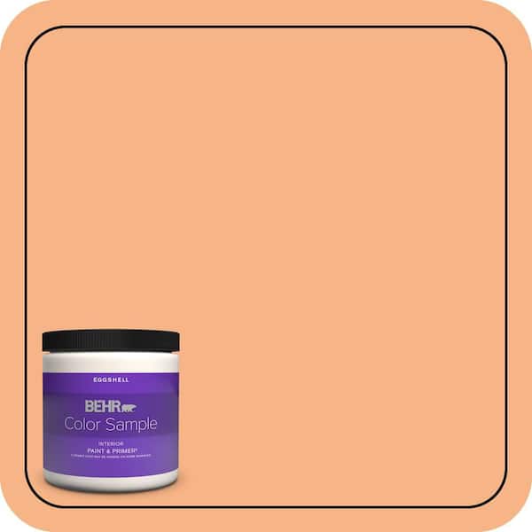BEHR PREMIUM PLUS #250D-4 Autumn Mist Enamel Low Odor & Primer (3)