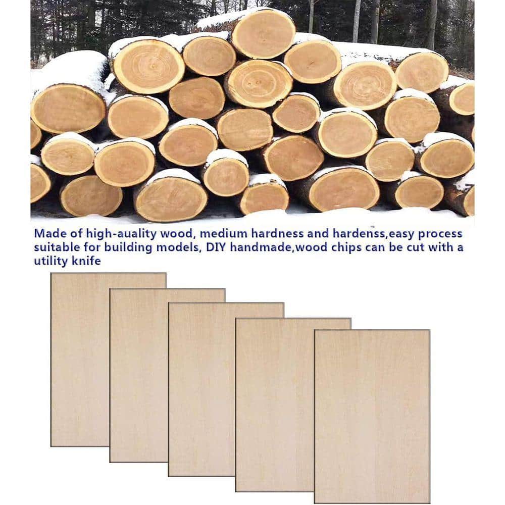 EPIPHANY DOUBLED INC 1/16 in. x 0.5 ft. x 0.3 ft. Pressure Treated Sanded Plywood (2)