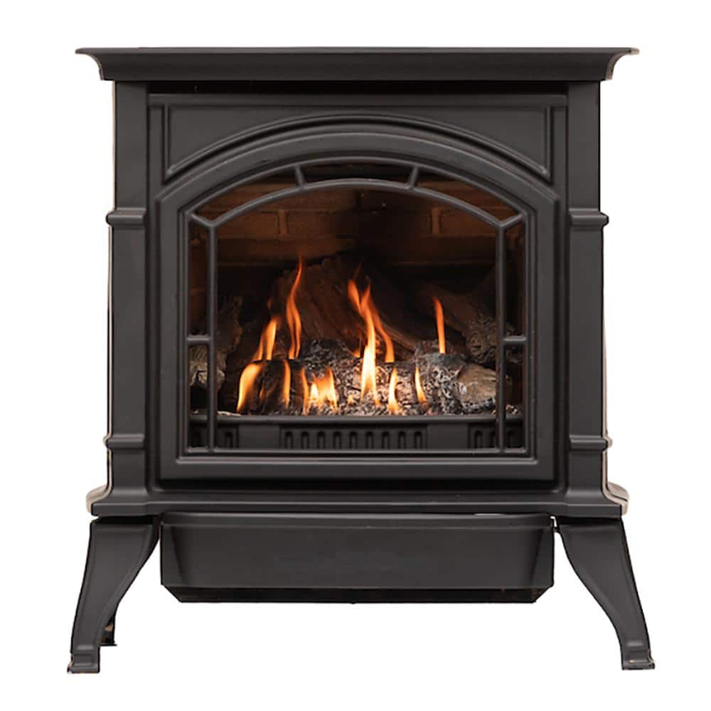 Ashley Hearth Products 23,500 BTU Vented Dual Fuel Cast Iron Gas Stove Heater (2)