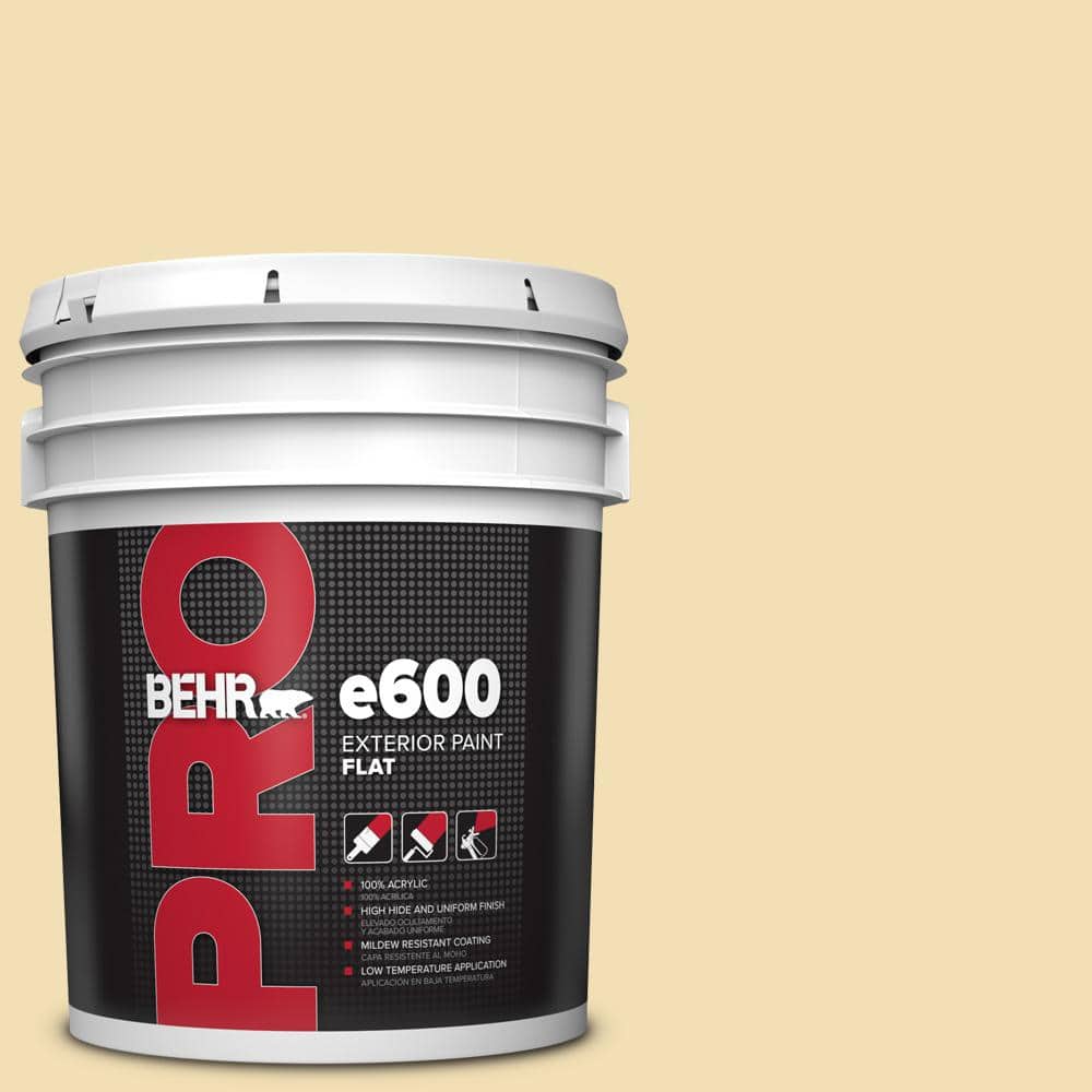 BEHR PRO 5 gal. #PPU6-12 Calla Exterior Flat Paint (1)