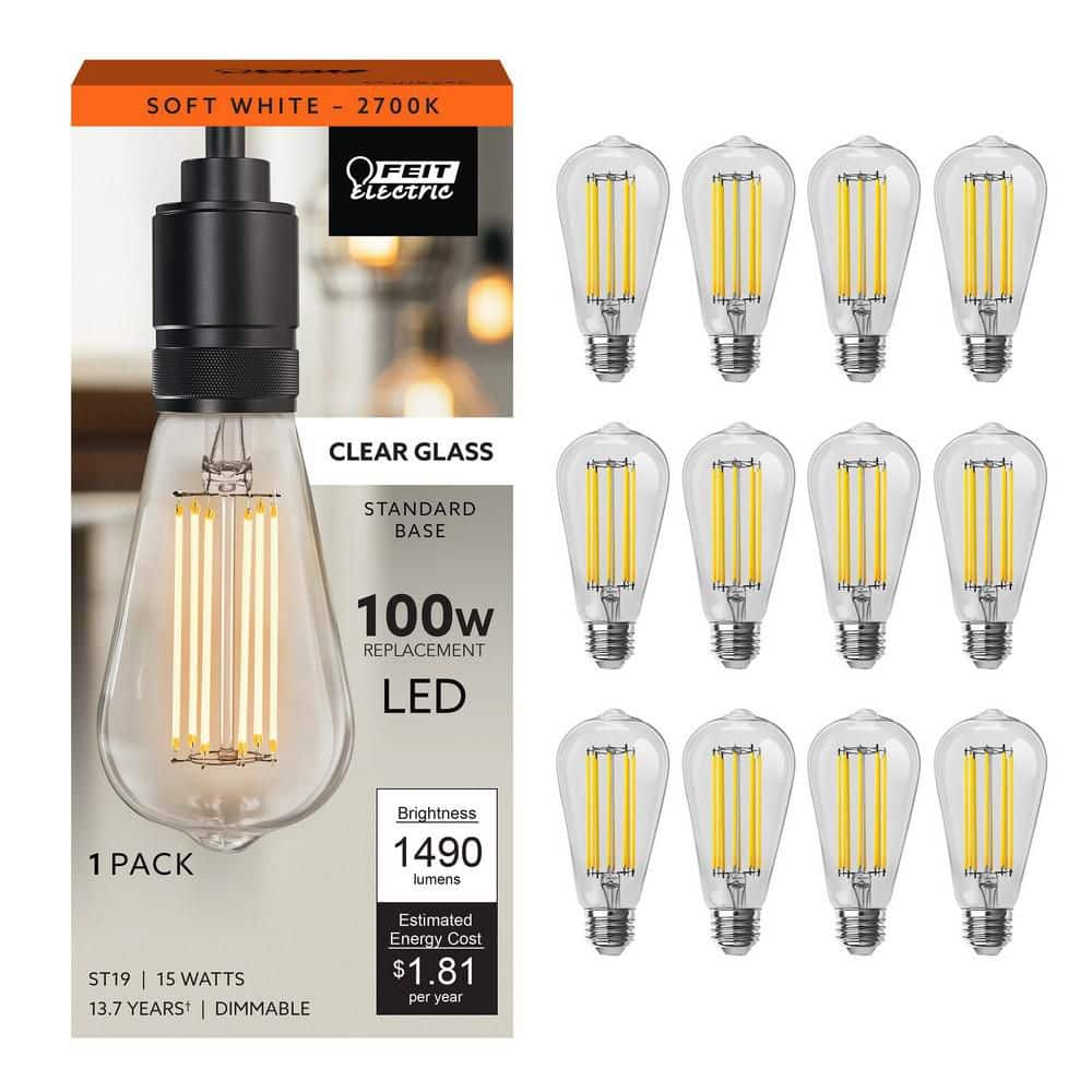 Feit Electric 100-Watt Equivalent ST19 Dimmable Cage Filament Clear Glass E26 Vintage Edison LED Light Bulb, Soft White (12-Pack)