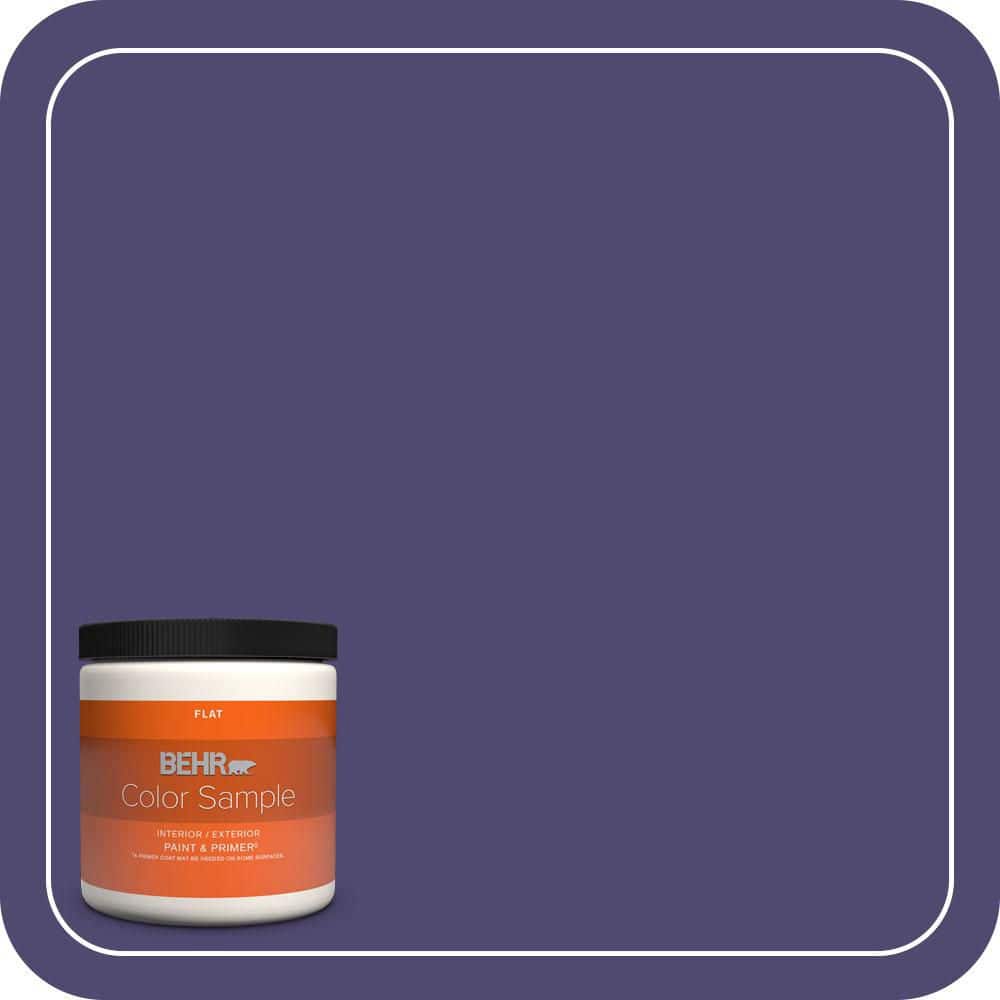 BEHR PREMIUM PLUS 8 oz. #T11-12 Harajuku Girl Flat Interior/Exterior Paint & Primer Color Sample (1)