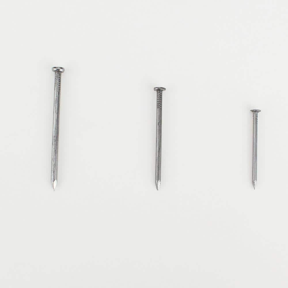 Everbilt Zinc-Plated Common Nail Assortment (98-Piece) (3)