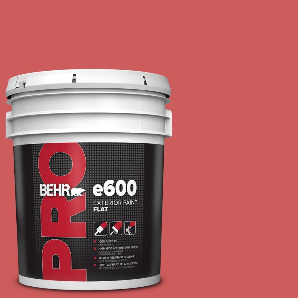 BEHR PRO 5 gal. #P160-5 Pinkadelic Flat Exterior Paint