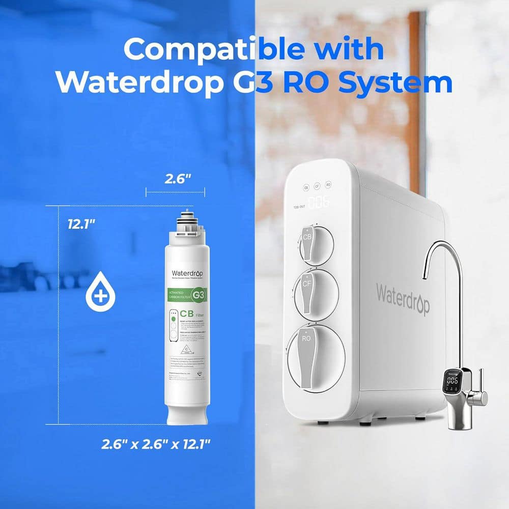 Waterdrop CB Replacement Water Filter Cartridge for WD-G3P800 and G3 Reverse Osmosis System, 1-Year Lifetime (2)