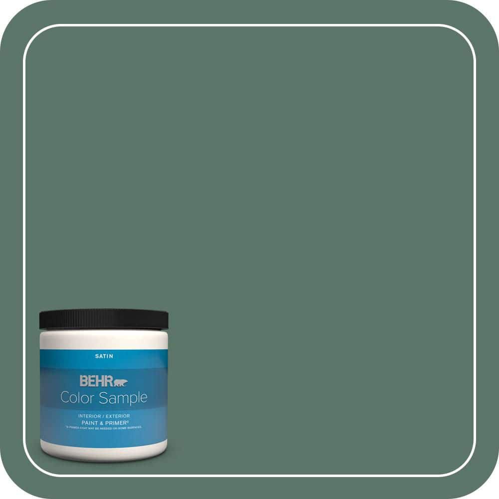 BEHR PREMIUM PLUS #S420-6 Pine Brook Enamel Interior/Exterior Paint & Primer Color Sample (1)