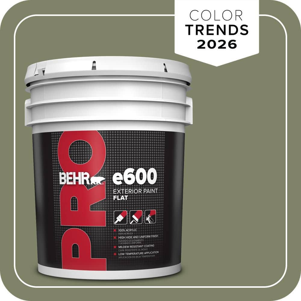 BEHR PRO 5 gal. #S380-6 Ecological Flat Exterior Paint