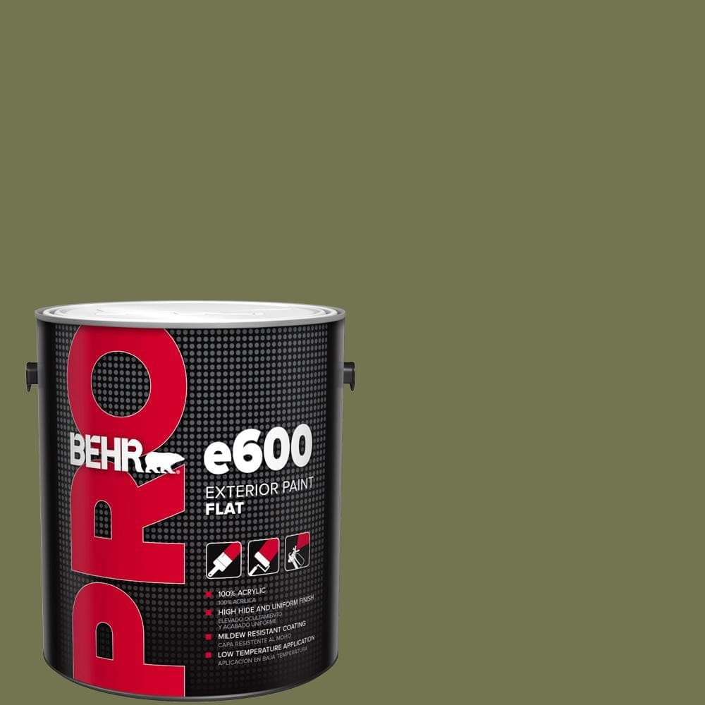 BEHR PRO 1 gal. #S360-6 Secret Meadow Flat Exterior Paint