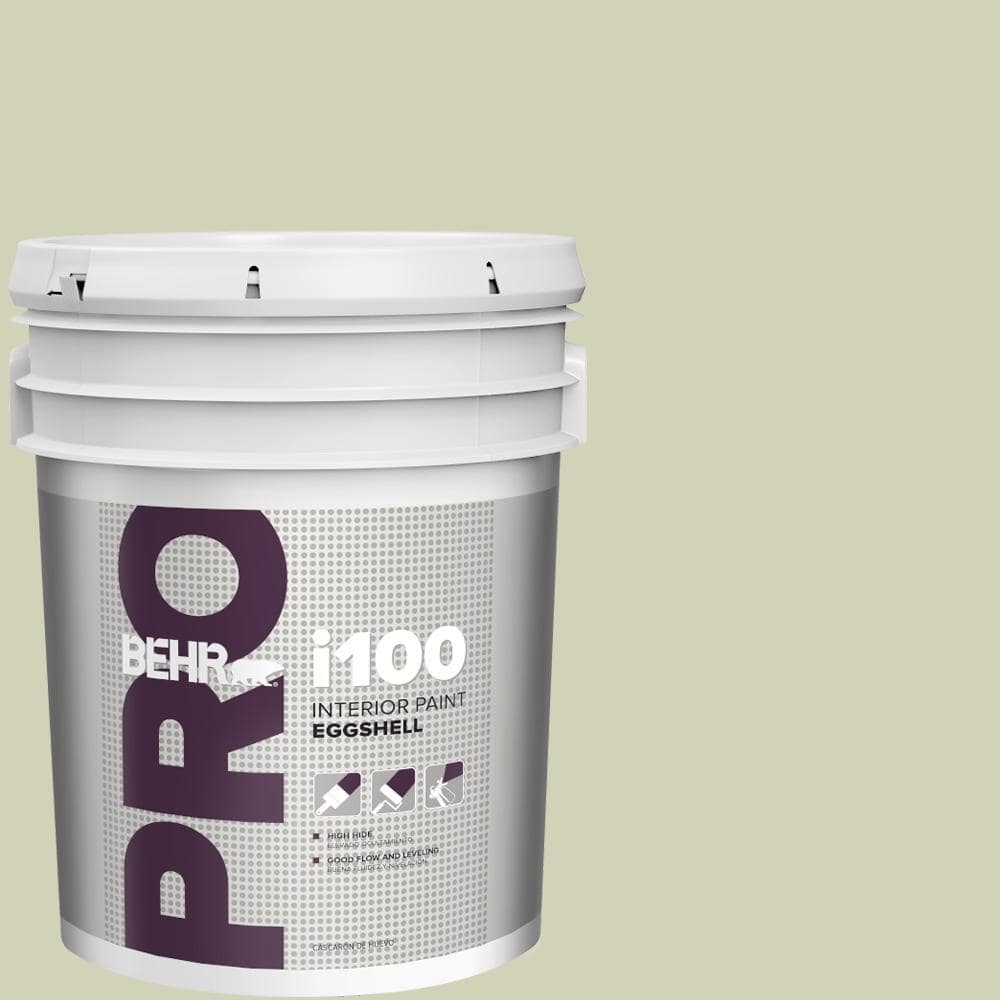 BEHR PRO 5 gal. #S360-2 Breathe Eggshell Interior Paint