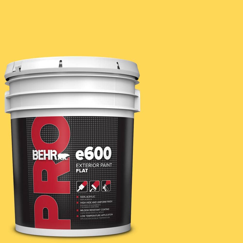 BEHR PRO 5 gal. #P300-6 Buzz-In Flat Exterior Paint