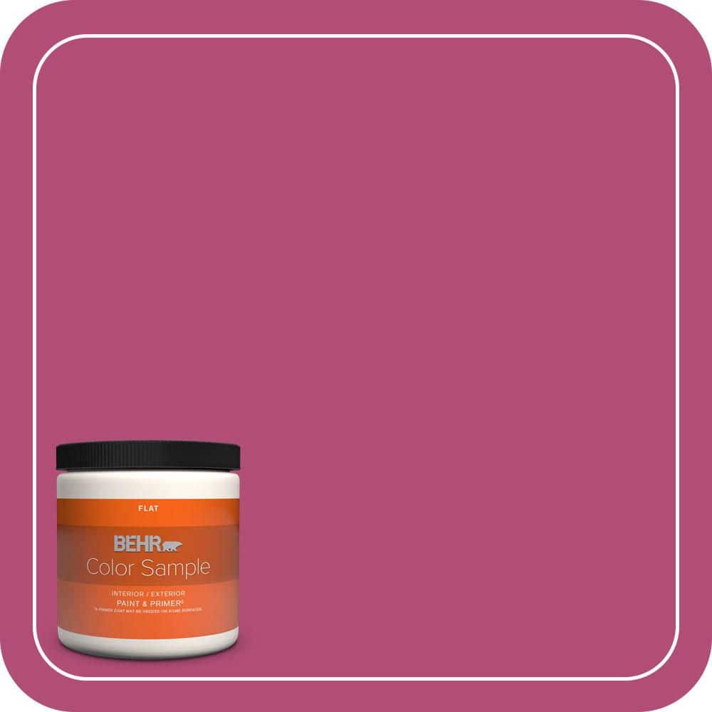 BEHR PREMIUM PLUS #P120-6 Diva Glam Flat Low Odor & Primer (1)