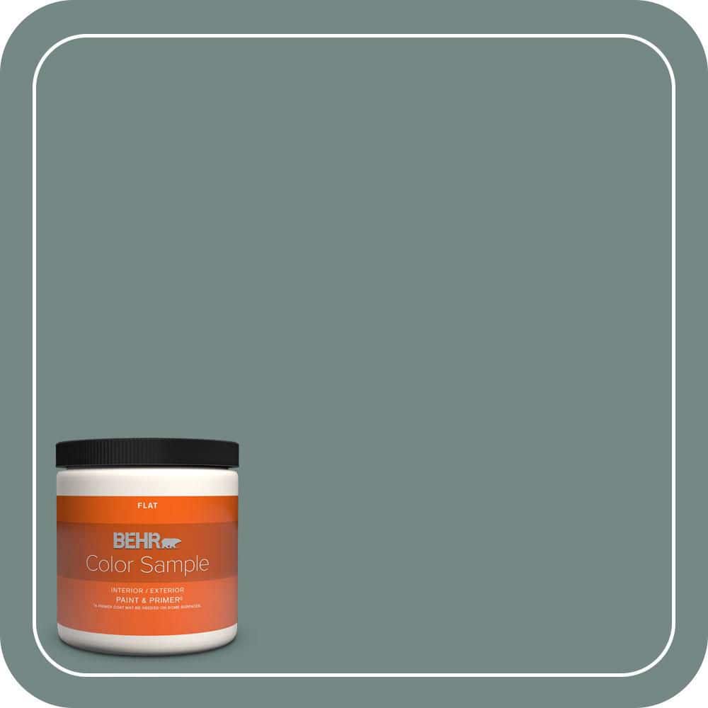BEHR PREMIUM PLUS #MQ6-10 Echo Park Flat Interior/Exterior Paint & Primer Color Sample