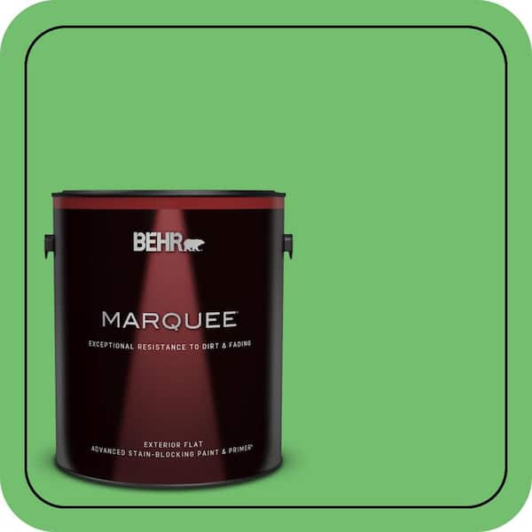 BEHR PREMIUM PLUS #440B-5 Dublin Enamel Interior/Exterior Paint & Primer Color Sample (2)