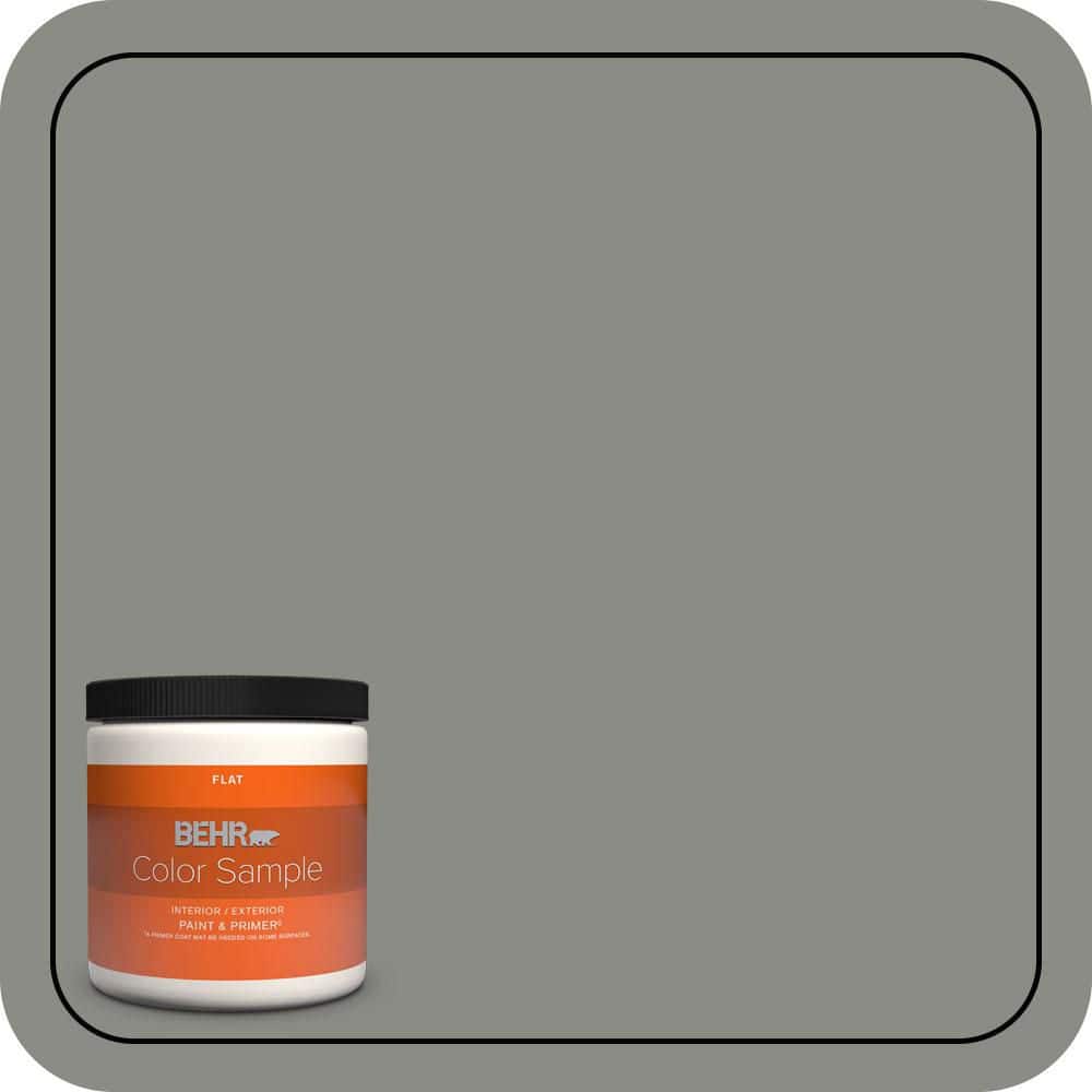 BEHR PREMIUM PLUS #N380-5 Naturalist Gray Enamel & Primer Color Sample (1)