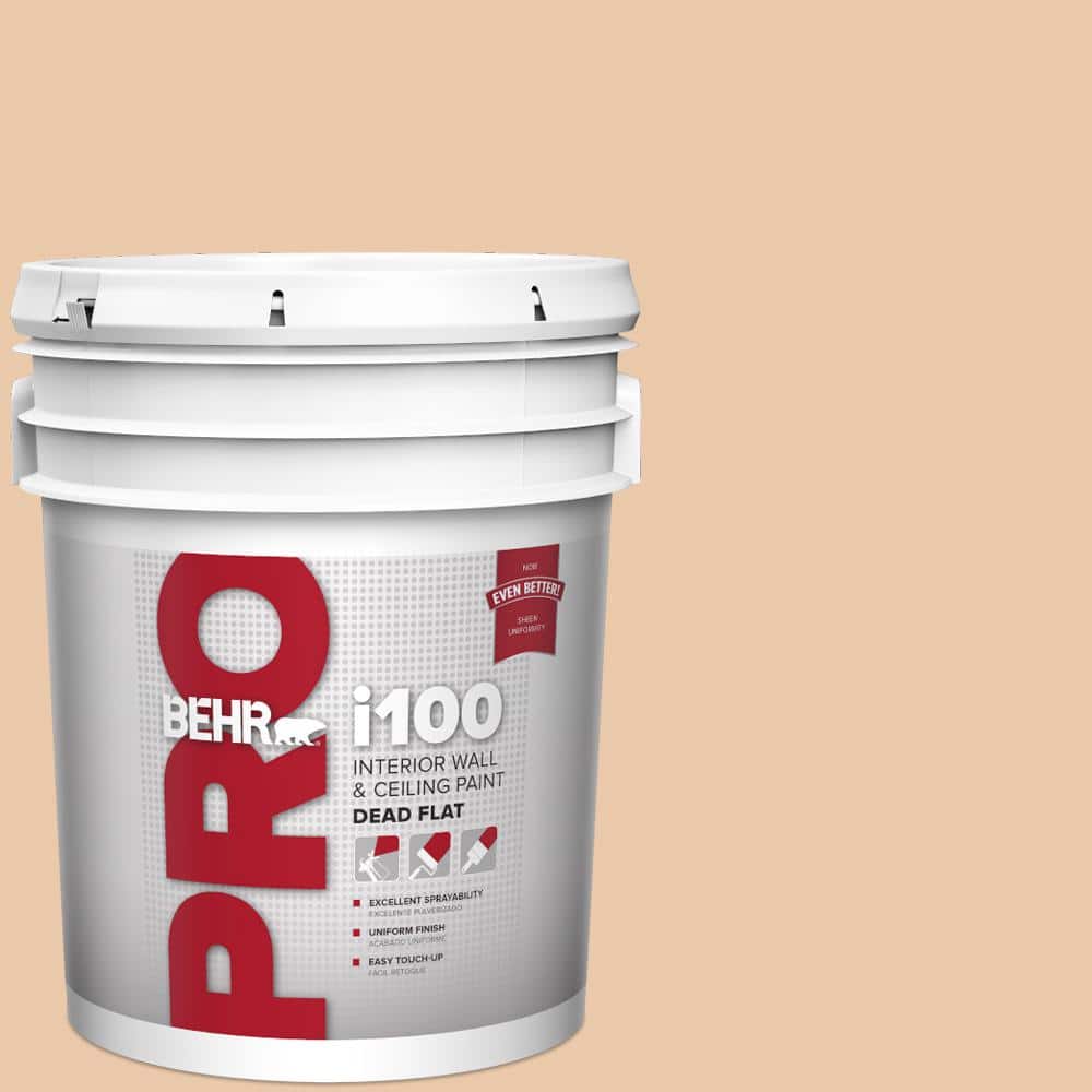 BEHR PRO 5 gal. #S250-2 Almond Biscuit Dead Flat Interior Paint