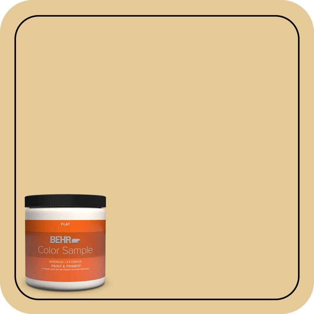 BEHR PREMIUM PLUS #M320-4 Abstract Flat Interior/Exterior Paint & Primer Color Sample (1)