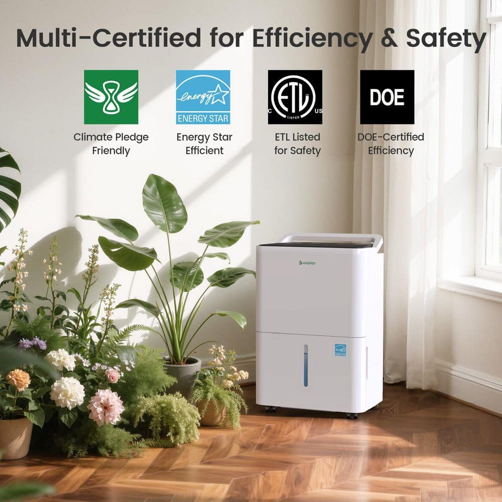 waykar 30 pt. 2000 sq. ft. Energy Star Dehumidifier with Drain Hose and Bucket for Bedroom, Basement in White (2)