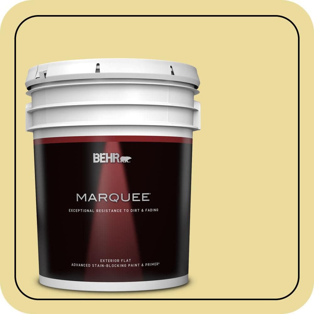 BEHR MARQUEE 5 gal. #P330-3A Flourish Flat Exterior Paint & Primer (1)
