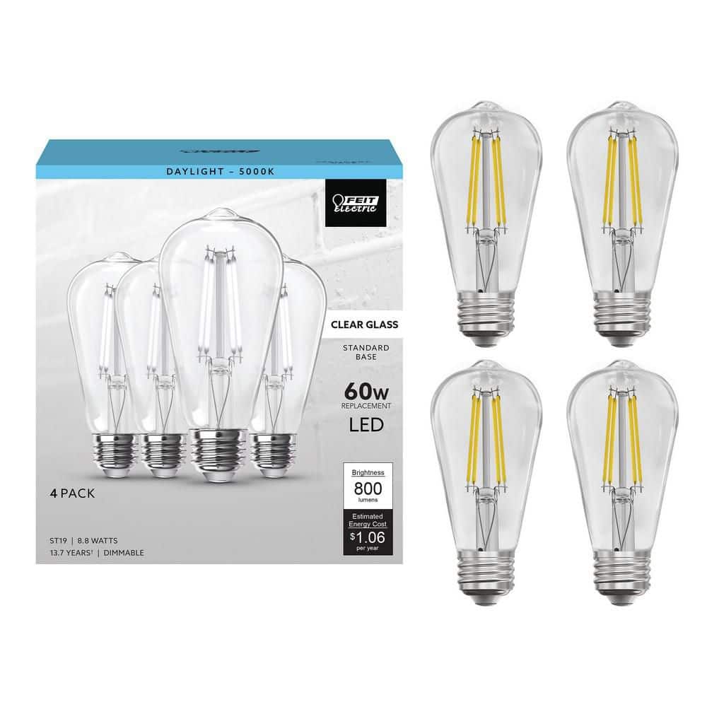 Feit Electric 60-Watt Equivalent ST19 Dimmable Straight Filament Clear Glass E26 Vintage Edison LED Light Bulb, Daylight 5000K(4-Pack)