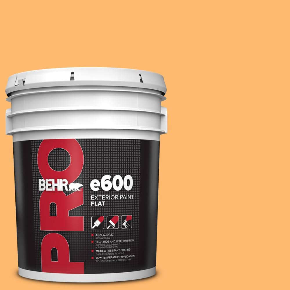 BEHR PRO 5 gal. #P240-5 Cheese Puff Flat Exterior Paint