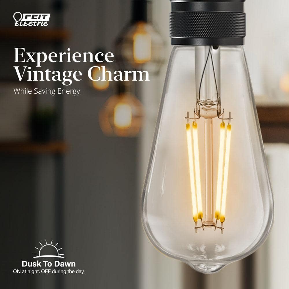 Feit Electric 100-Watt Equivalent ST19 Straight Filament Dusk to Dawn Clear Glass E26 Vintage Edison LED Light Bulb, Soft White 2700K (4)