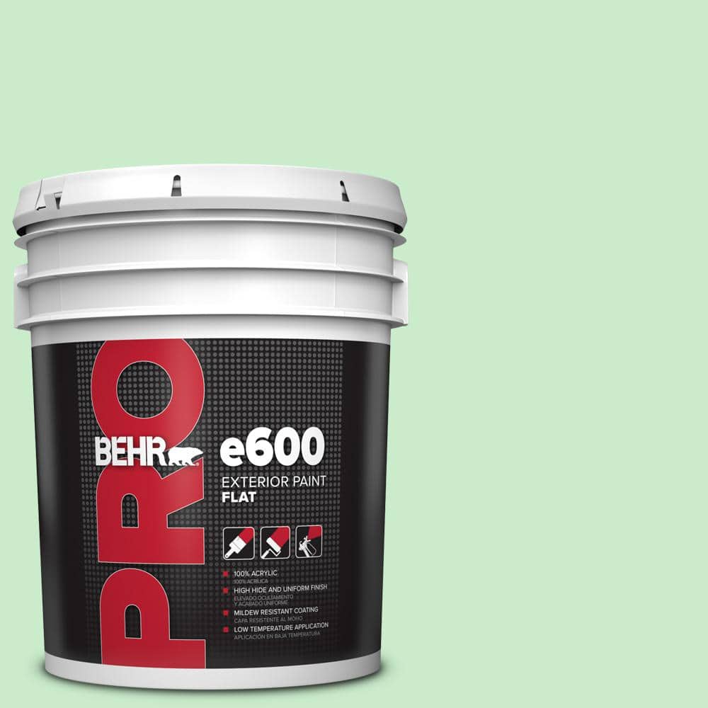 BEHR PRO 5 gal. #P390-2 Chilled Mint Flat Exterior Paint