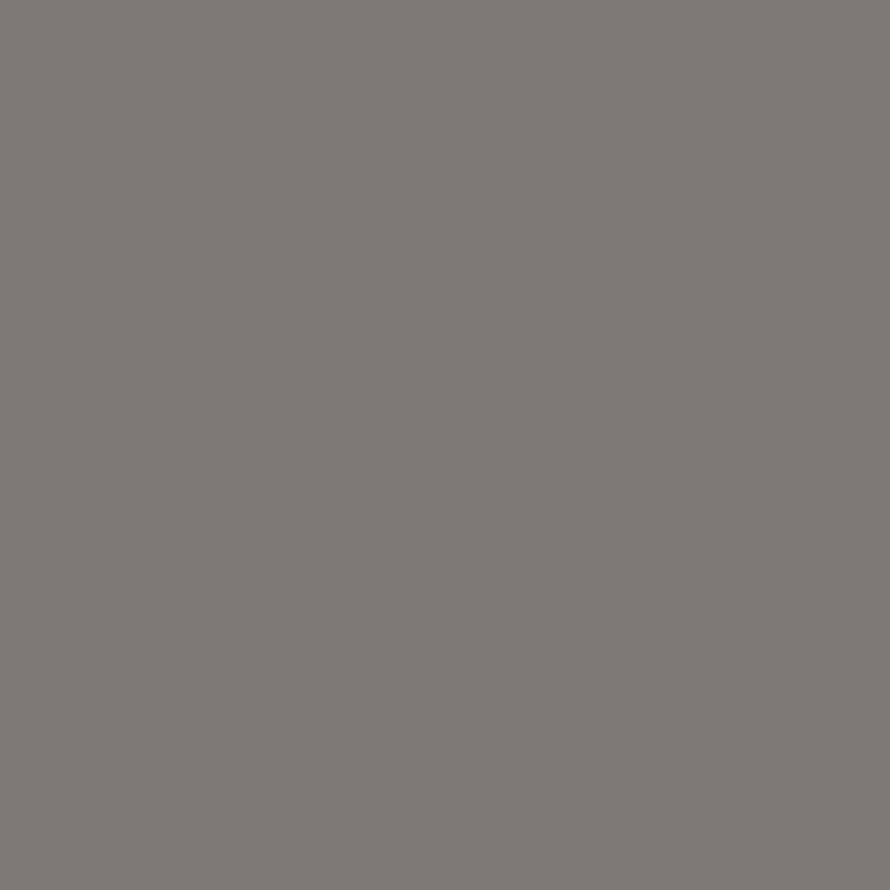 Glidden Premium 8 oz. PPG0998-6 On The Edge Satin Interior Paint Sample (4)