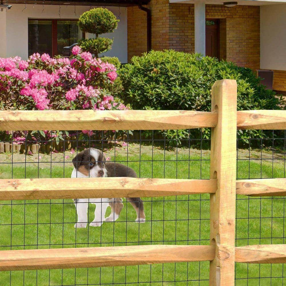 KIWDZFU Welded Wire Fence 48 Inch x 50 Foot 16-Gauge PVC Coated Metal Mesh Black Garden Border Fencing Roll for Plant Protection (3)