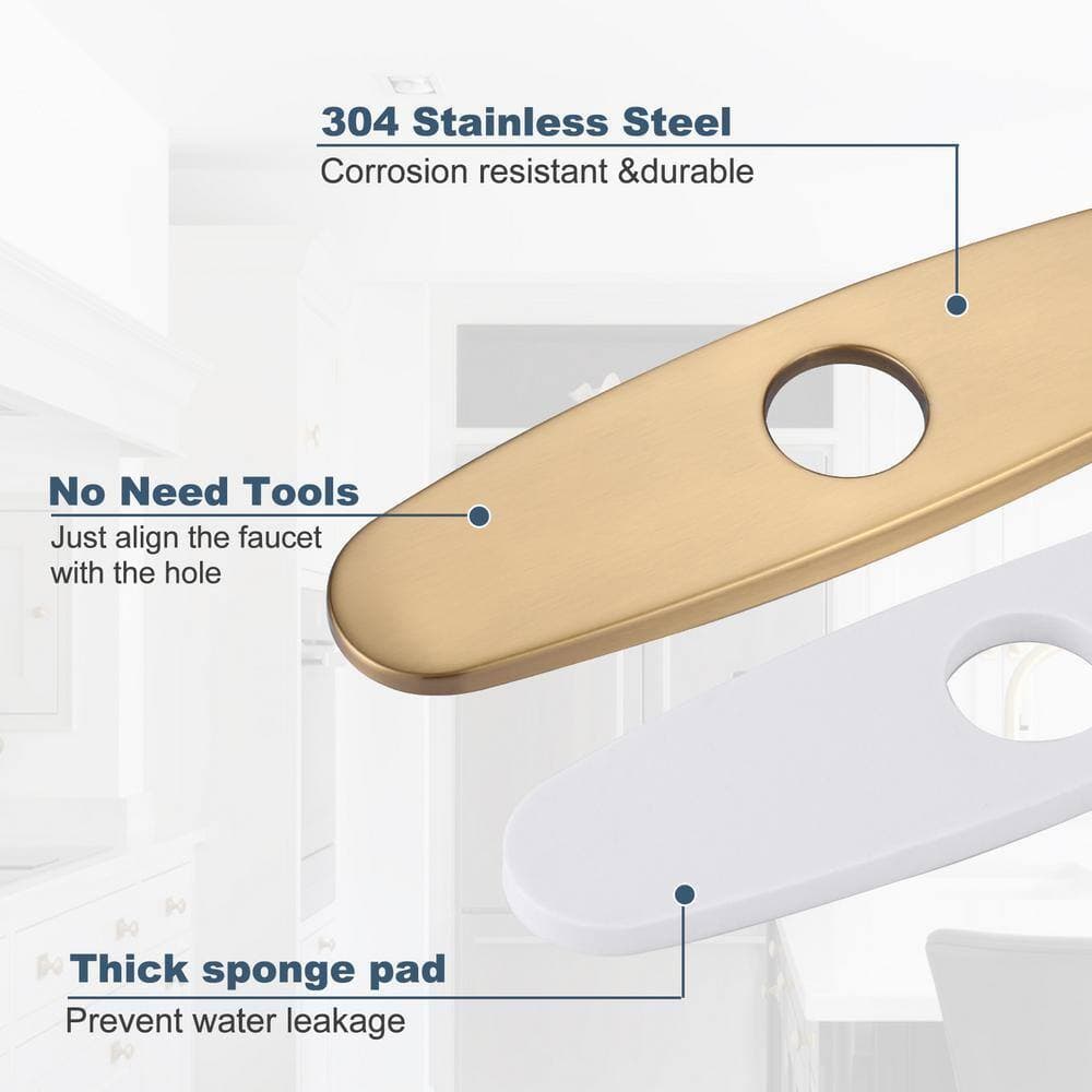 ALEASHA 10 in. Escutcheon Plate (4)