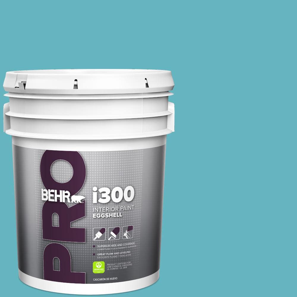 BEHR PRO 5 gal. #MQ4-51 Adonis Eggshell Interior Paint