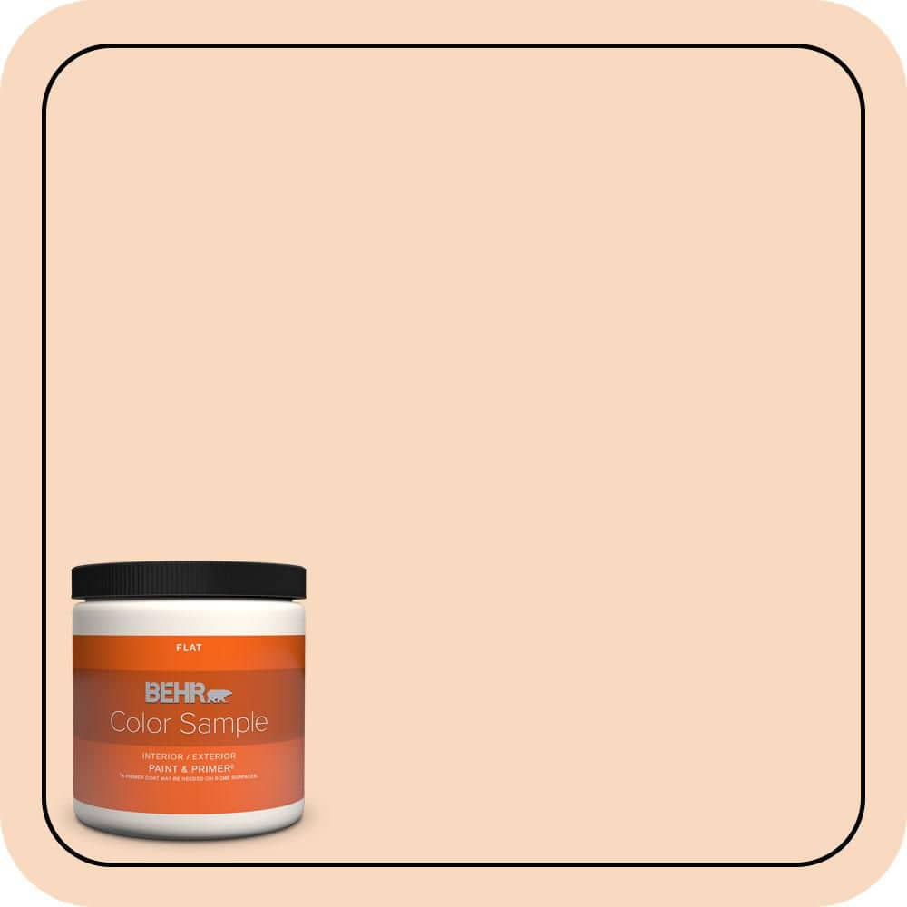 BEHR PREMIUM PLUS #M220-2 Pumpkin Essence Flat Interior/ & Primer Color Sample (1)