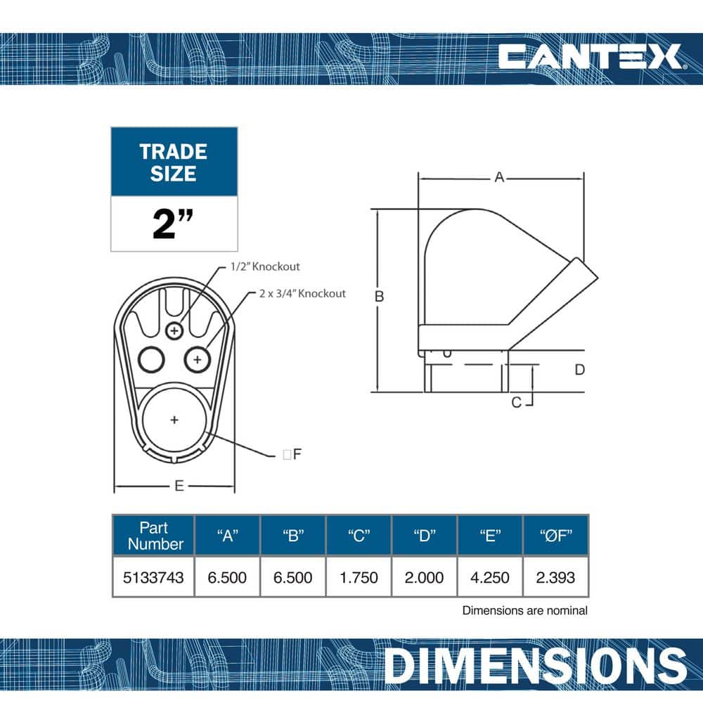 Cantex 2 in. Service Entrance Cap (2)