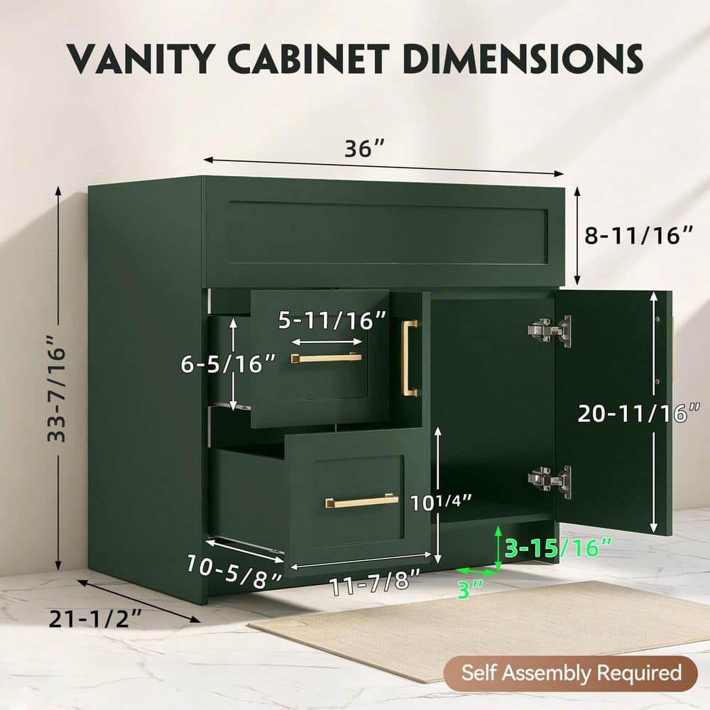 Zeafive Mox 36 in. W Bathroom Vanity Cabinet without Top in Green (21.5 in. D x 33.5 in. H), with Soft Close Doors and Drawers (2)