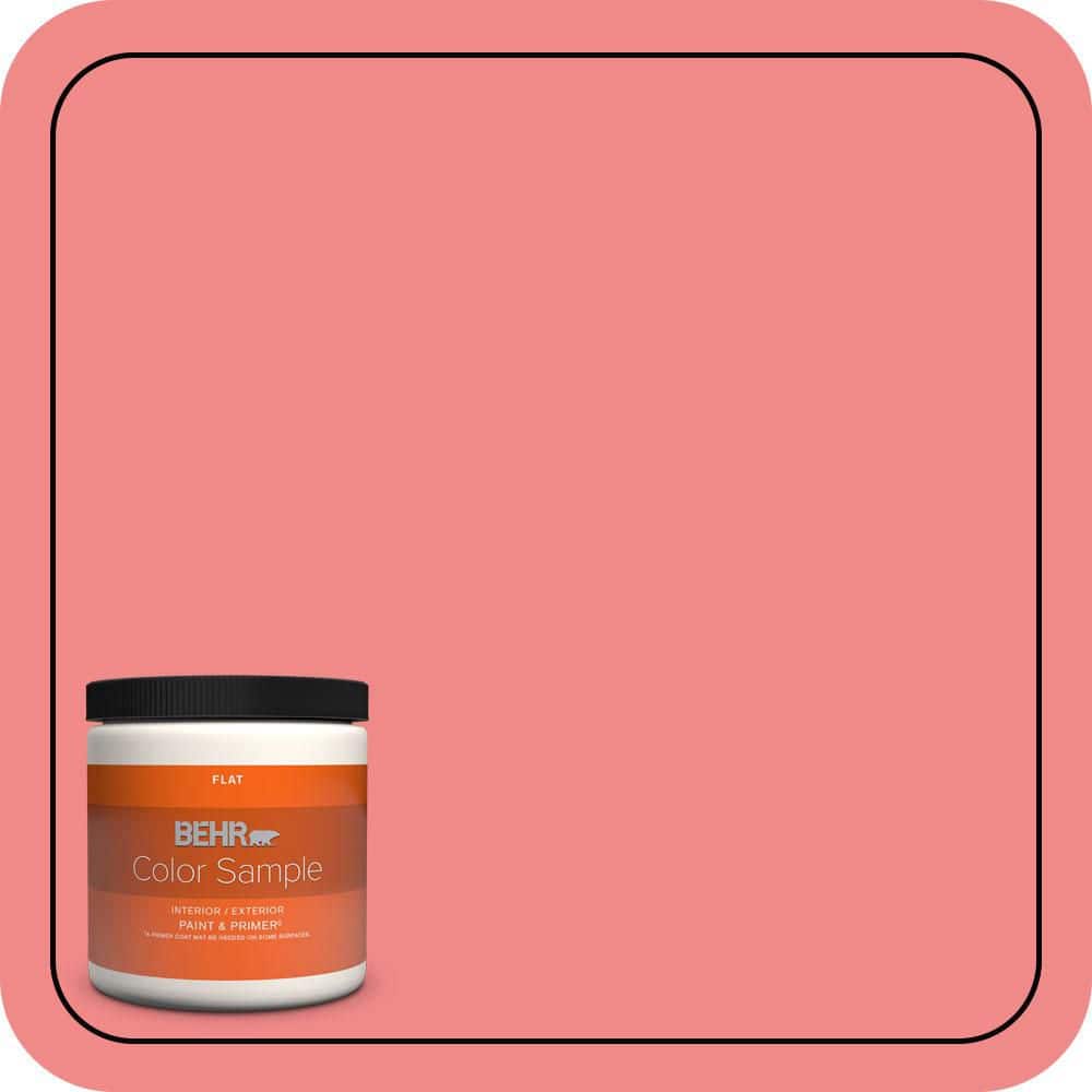 BEHR PREMIUM PLUS #150B-5 Cheery Flat Low Odor & Primer (1)