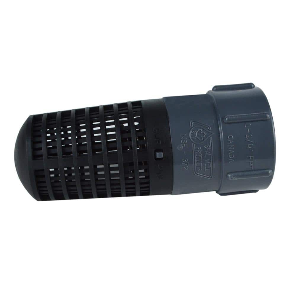 Water Source 1-1/4 in. Plastic Foot Valve (3)