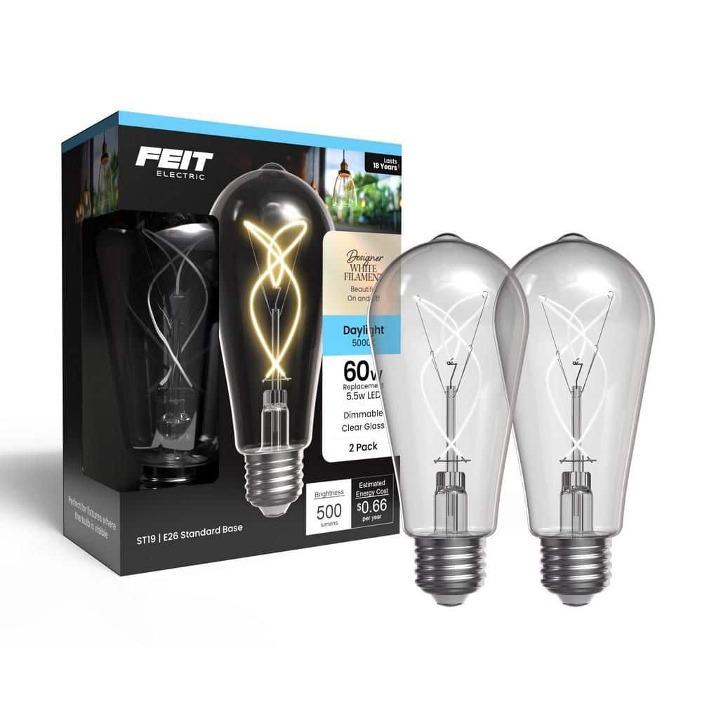 Feit Electric 60W Equiv. ST19 Dim. Knot Thin White Filament Clear Glass E26 Vintage LED Straight Tapered Light Bulb, Daylight (2-Pack) (2)